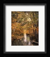 Autumn Riches 2 Framed Print