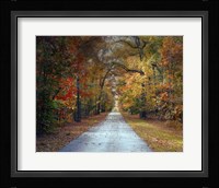Changing Season 1 Framed Print