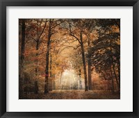 Clearing Fine Art Print