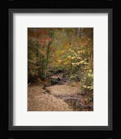 Creek Bed In Autumn Fine Art Print