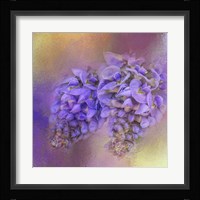 Enticing Wisteria Fine Art Print