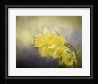 Out Of The Darkness Fine Art Print