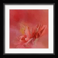 Salmon Hibiscus 3 Fine Art Print