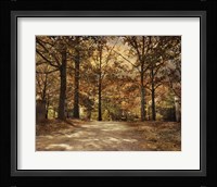 Secluded Entrance Fine Art Print
