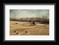 Sheep In The Meadow Fine Art Print