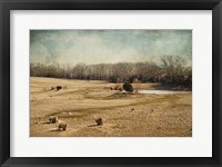 Sheep In The Meadow Fine Art Print