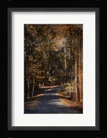 Sunlit Autumn Path Fine Art Print