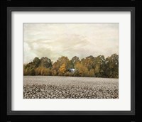 The Old Cotton Barn Fine Art Print