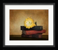 The Classics Fine Art Print