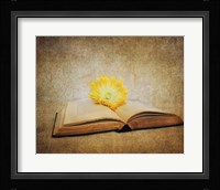 The Joy Of Reading Framed Print