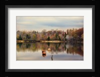 Autumn At Lake LaJoie 3 Framed Print