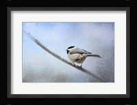 Chickadee In The Snow Framed Print