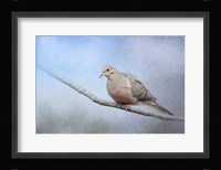Dove In The Snow Framed Print