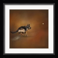Gimme That Ball German Shepherd Fine Art Print