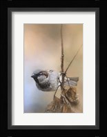 Hanging On Sparrow Fine Art Print
