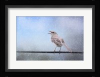 Mockingbird In The Snow Framed Print