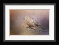 Mourning Dove On A Winter Evening Fine Art Print