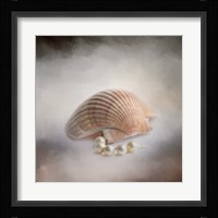 Sea Shell and Pearls Fine Art Print