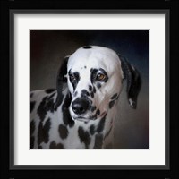 The Firemans Dog Dalmatian Fine Art Print