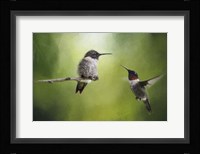 Wake Up Call Hummingbirds Fine Art Print