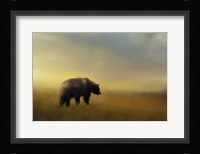Where The Grizzly Roams Fine Art Print