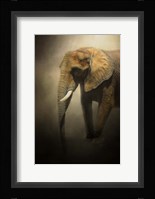 The Elephant Emerges Fine Art Print