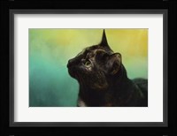 By The Light Of The Sea Fine Art Print