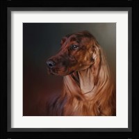 Catching The Breeze Irish Setter Framed Print