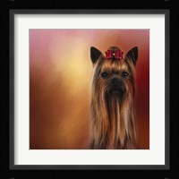Royal Yorkshire Fine Art Print