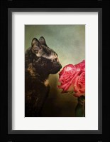 Stop And Smell The Flowers Fine Art Print