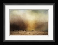 Where The Buffalo Roam Fine Art Print