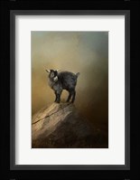 Little Rock Climber Fine Art Print