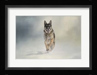 Snow Day For The Shepherd Fine Art Print