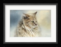 Watching Snow Fall Fine Art Print