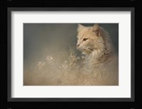 At Dawn Fine Art Print