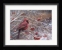 Cardinal and Berries Fine Art Print