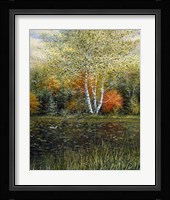 Reflections of Autumn Fine Art Print