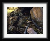 Ruffed Grouse & Trout Lilies Fine Art Print