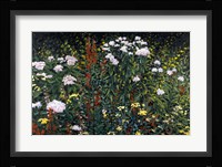 Wildflower Garden Fine Art Print