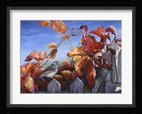 White Throated Sparrow Fine Art Print