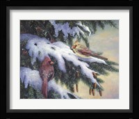 Winter Cardinals Fine Art Print