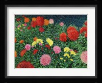 Summer Flowers Fine Art Print