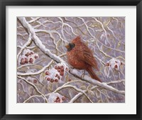 Cardinal and Wild Berries Fine Art Print