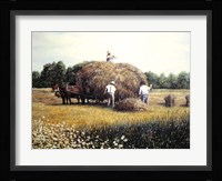 Haying Time 1 Framed Print