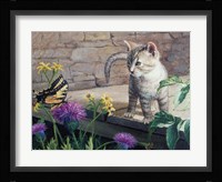 Kitten & Butterfly Fine Art Print