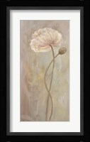 Poppies III Framed Print