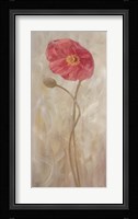 Poppies IV Framed Print