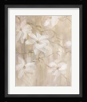 Magnolias II Framed Print
