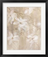 Magnolias II Framed Print