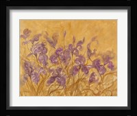 Irises I Framed Print